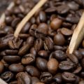 世界の季節限定豆×日本ならではのコーヒー文化・楽しみ方徹底解説