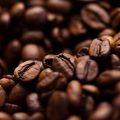 高齢者向けの健康的なコーヒーの提案：フレイル予防の観点から