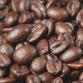 フレンチプレス抽出の応用：抹茶やほうじ茶を使った独自アレンジ法