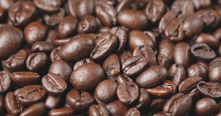フレンチプレス抽出の応用：抹茶やほうじ茶を使った独自アレンジ法