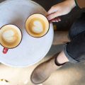 フレンチプレスの時間と温度管理：日本の季節ごとの最適な抽出方法