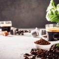 東京の猫カフェ・動物カフェ最新事情と楽しみ方