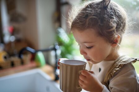 ノンカフェインで安心おやつ時間：親子向けカフェスイーツのアイデア