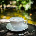 滋賀の自然に癒やされる湖畔カフェガイド：琵琶湖ビューを満喫