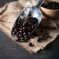 季節ごとのコーヒー豆保存法―梅雨や夏場のカビ対策