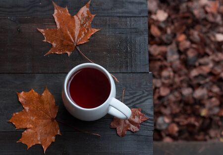 シナモン香る秋限定コーヒー:家庭用エスプレッソマシン活用術