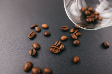 冷凍保存したコーヒー豆の解凍方法と最適な抽出タイミング