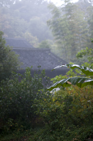 日本の気候を考慮したコーヒー豆保存対策―湿度や温度との付き合い方