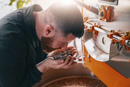 焙煎度合いの違いがもたらす健康効果の比較