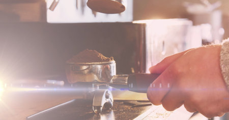 焙煎度による健康成分の変化