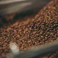 日本の気候と家庭に最適なコーヒー豆の保管場所